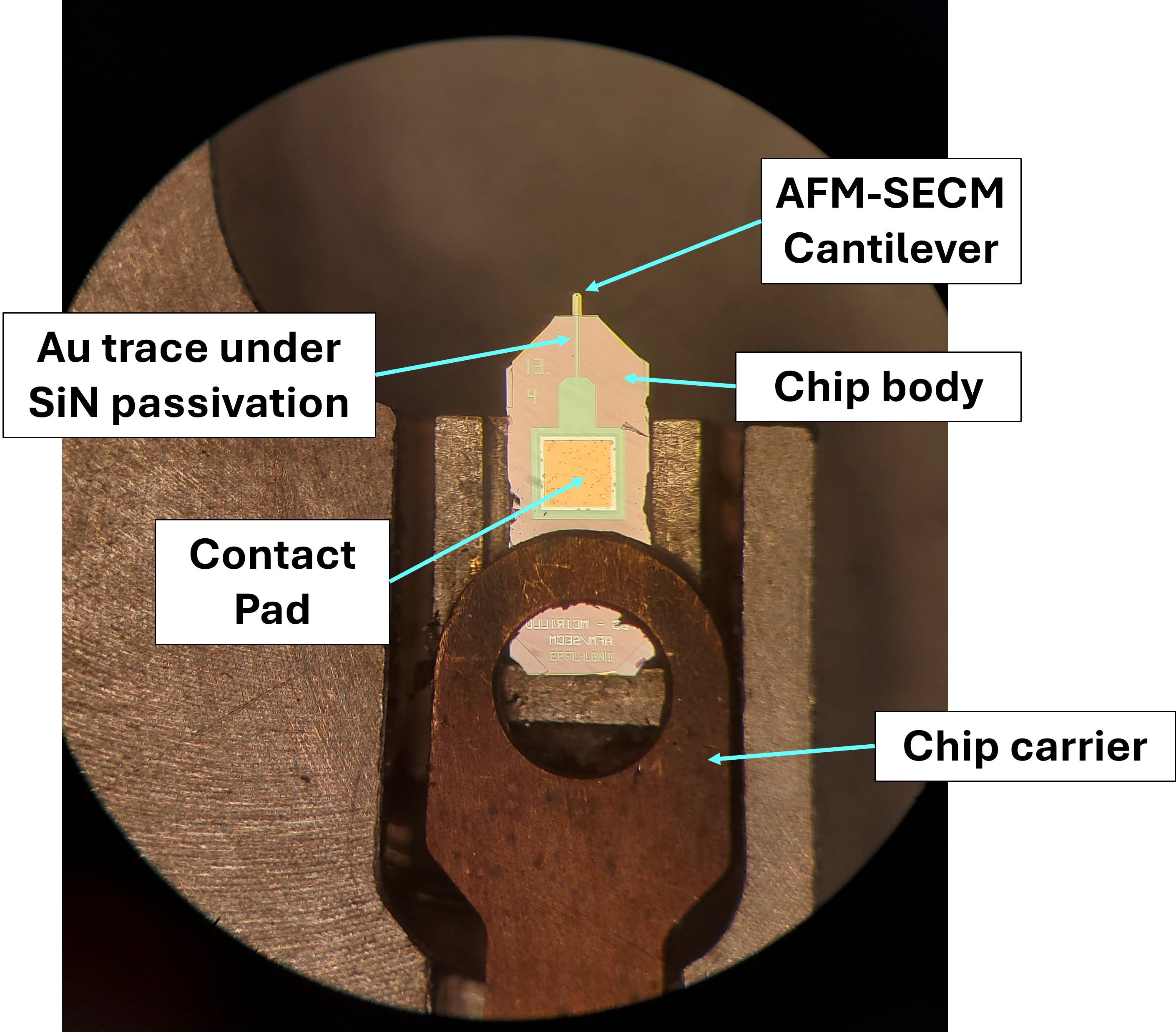 Chip holder used to interface the cantilever probe